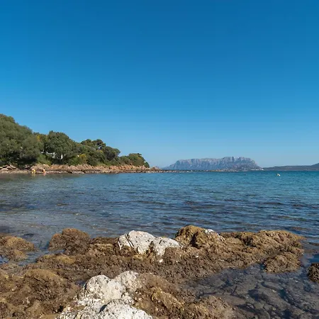 Sole Mare بيت للعطل أولبيا